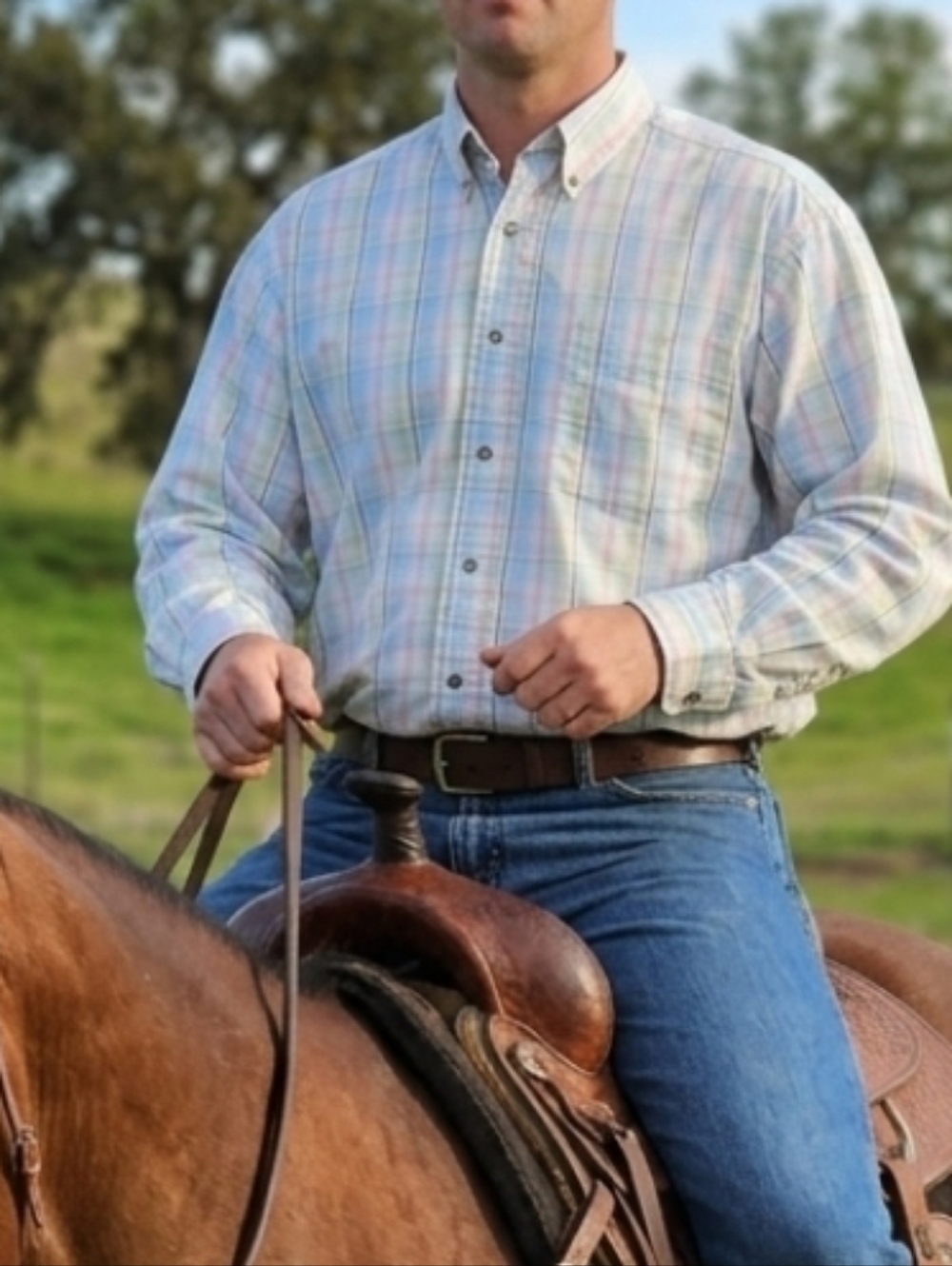 Ariat Button-Down Shirt
